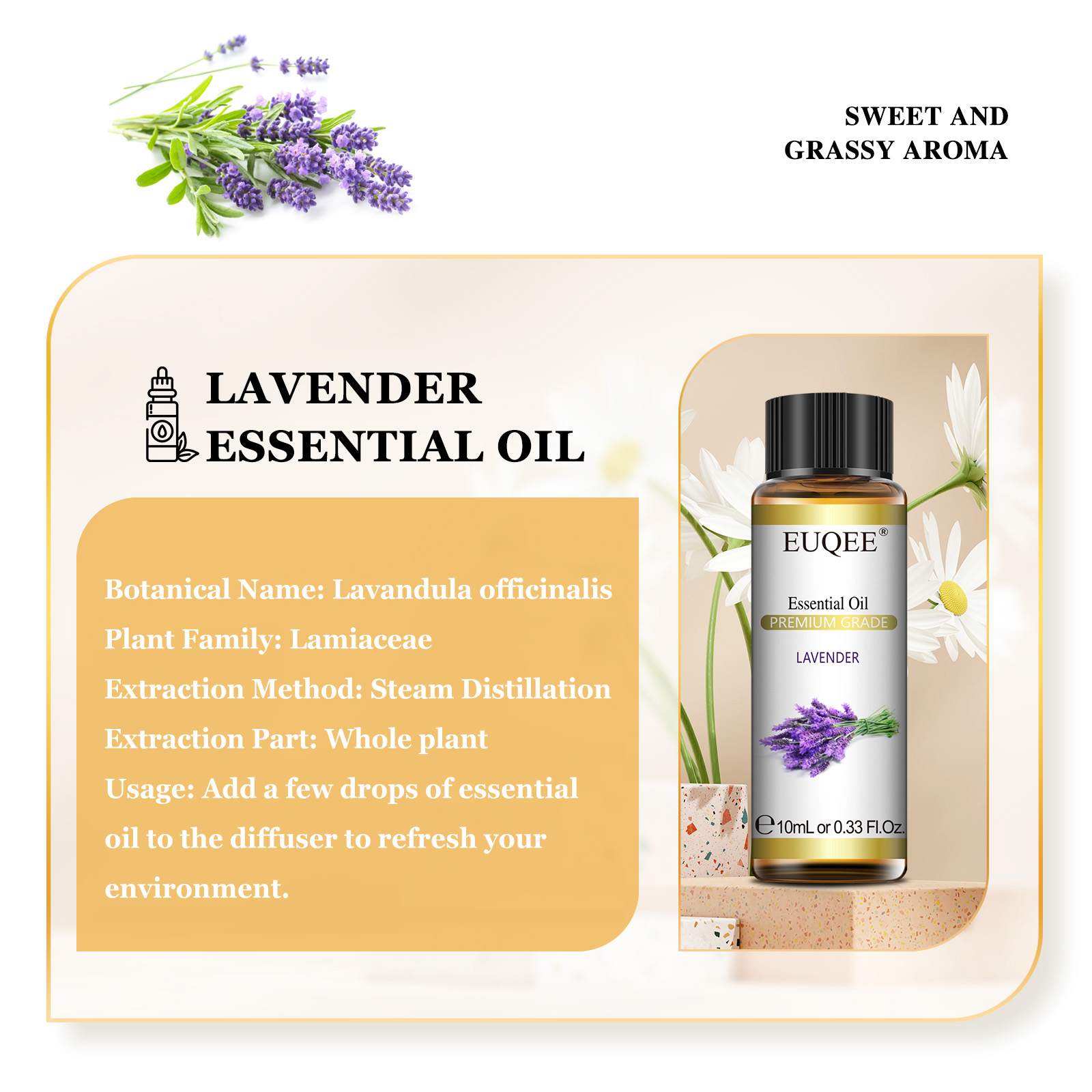 EUQEE 10ml Pure Natural Essent - Candle Making Supplies Fragrance Oils ulasan dan harga