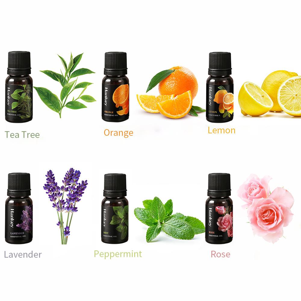 Essential Oils Set Pure Essent - Candle Making Supplies Fragrance Oils ulasan dan harga