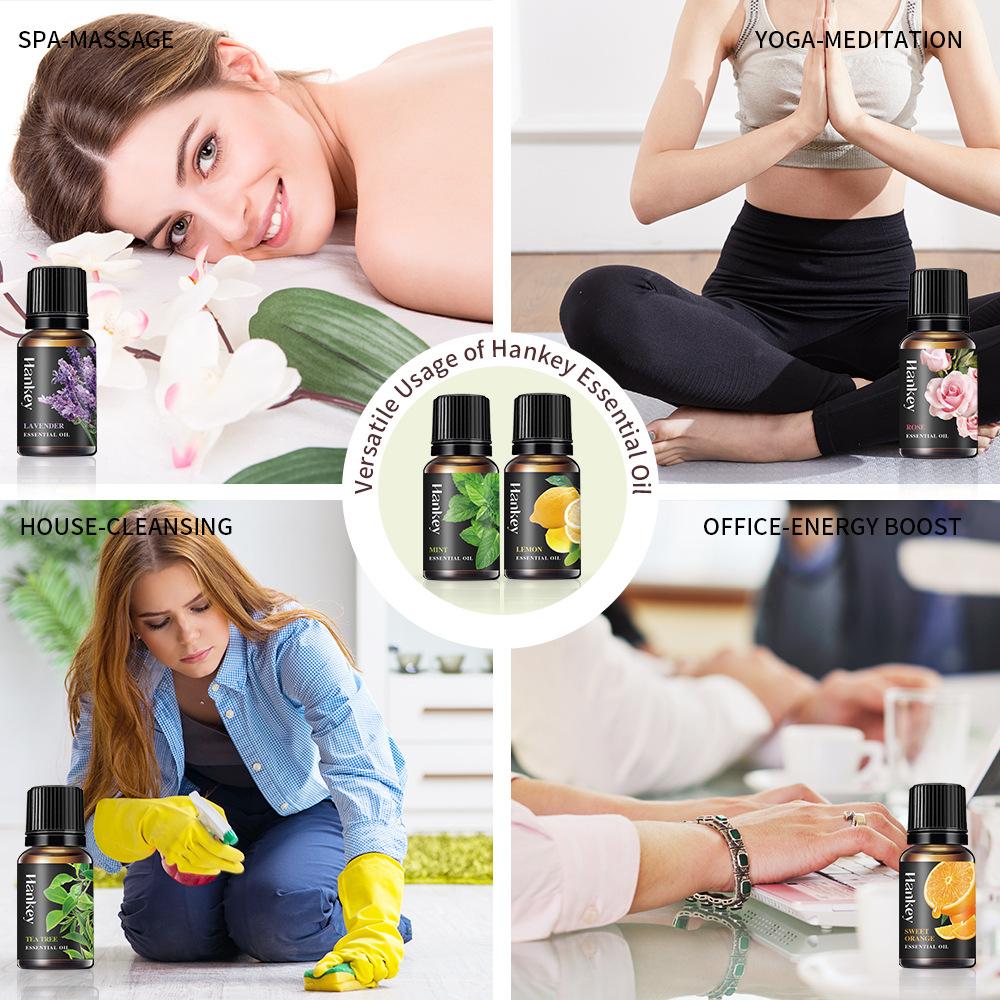 Essential Oils Set Pure Essent - Candle Making Supplies Fragrance Oils ulasan dan harga